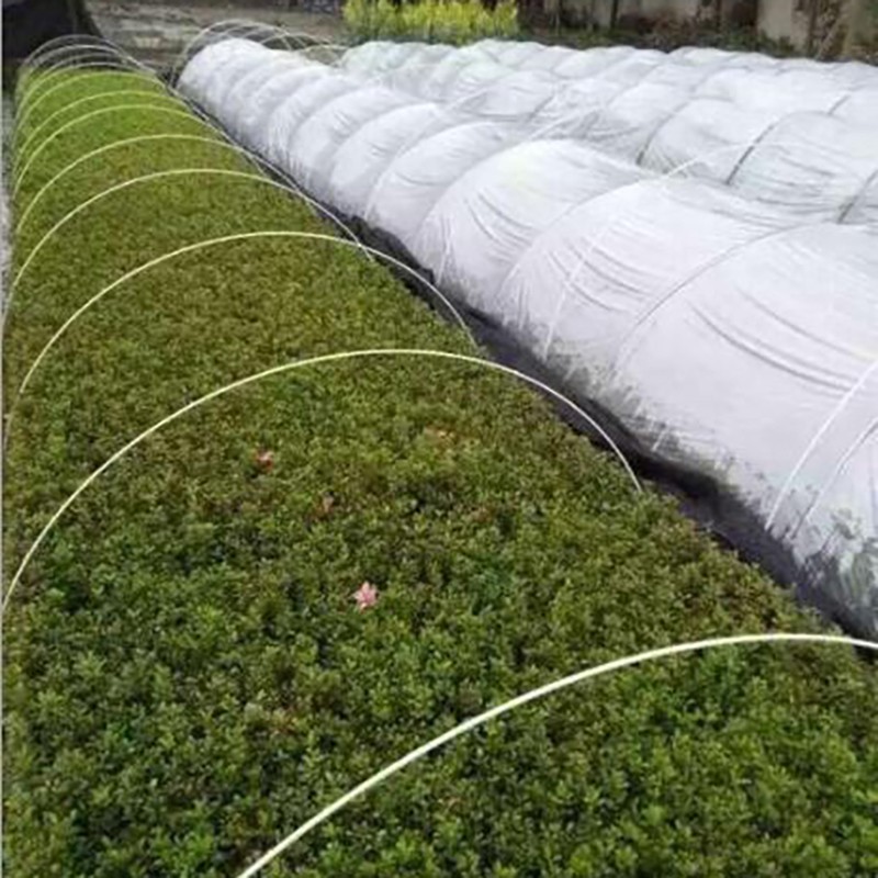 玻纖棒